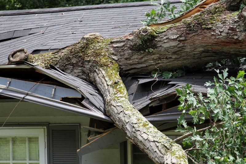 Asphalt Roofing Service in Worcester, MA
