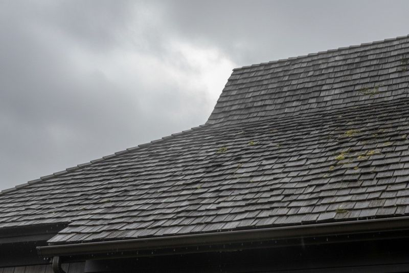 Cedar Roof Replacement in Alexandria, VA