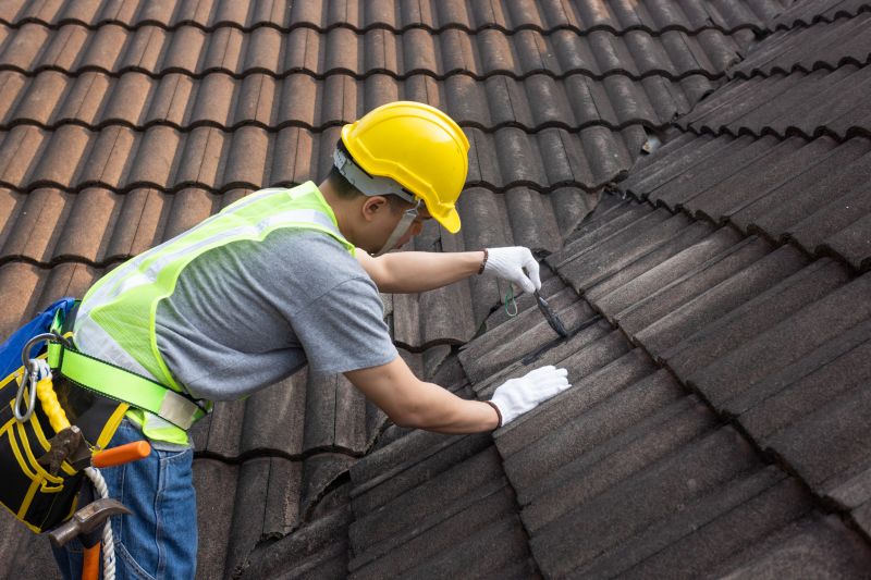 Tar Roof Inspection