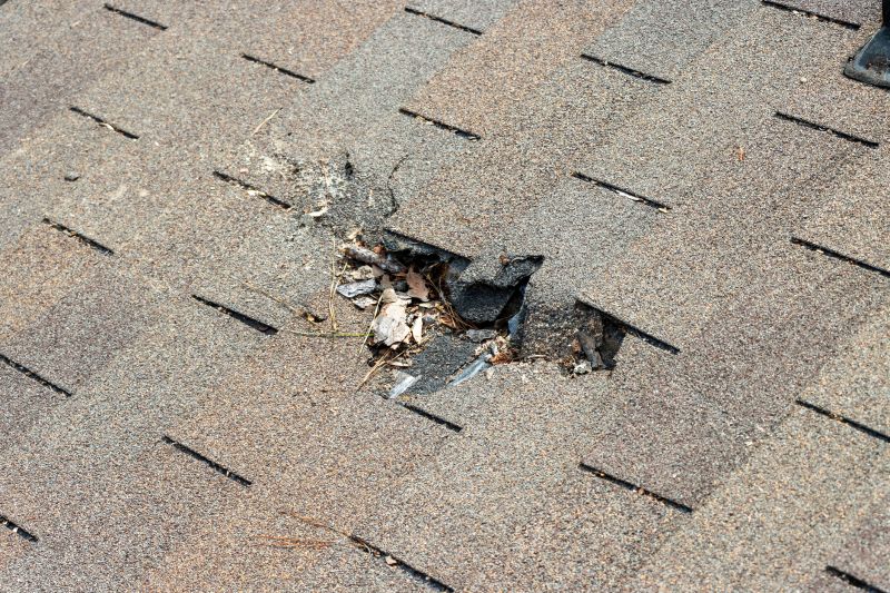 Shingles Replacement in Boston, MA